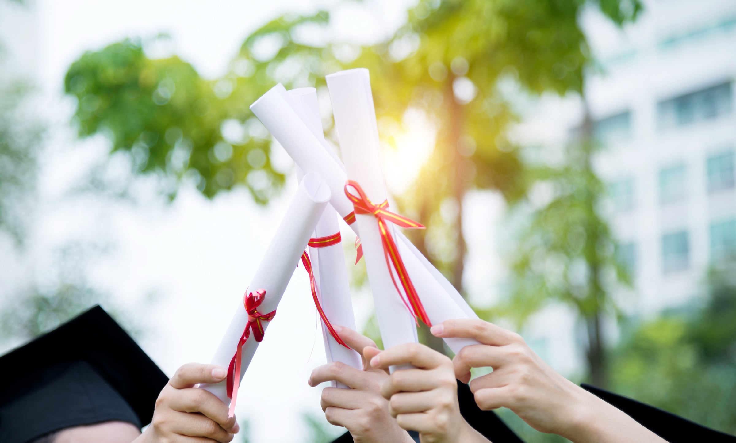 Mani che alzano diplomi arrotolati con il nastro rosso