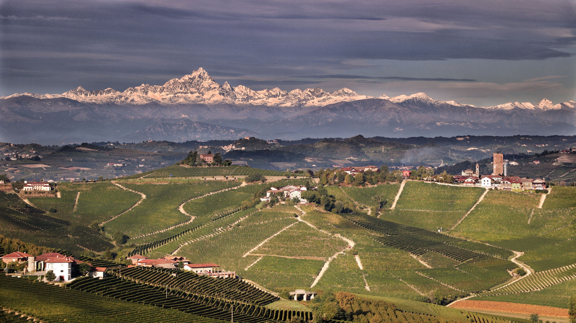 Le colline delle Langhe con le Alpi innevate sullo sfondo