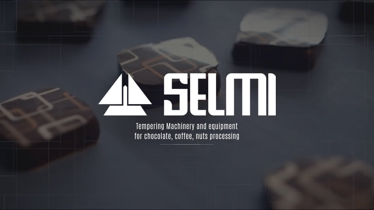 Logo Selmi